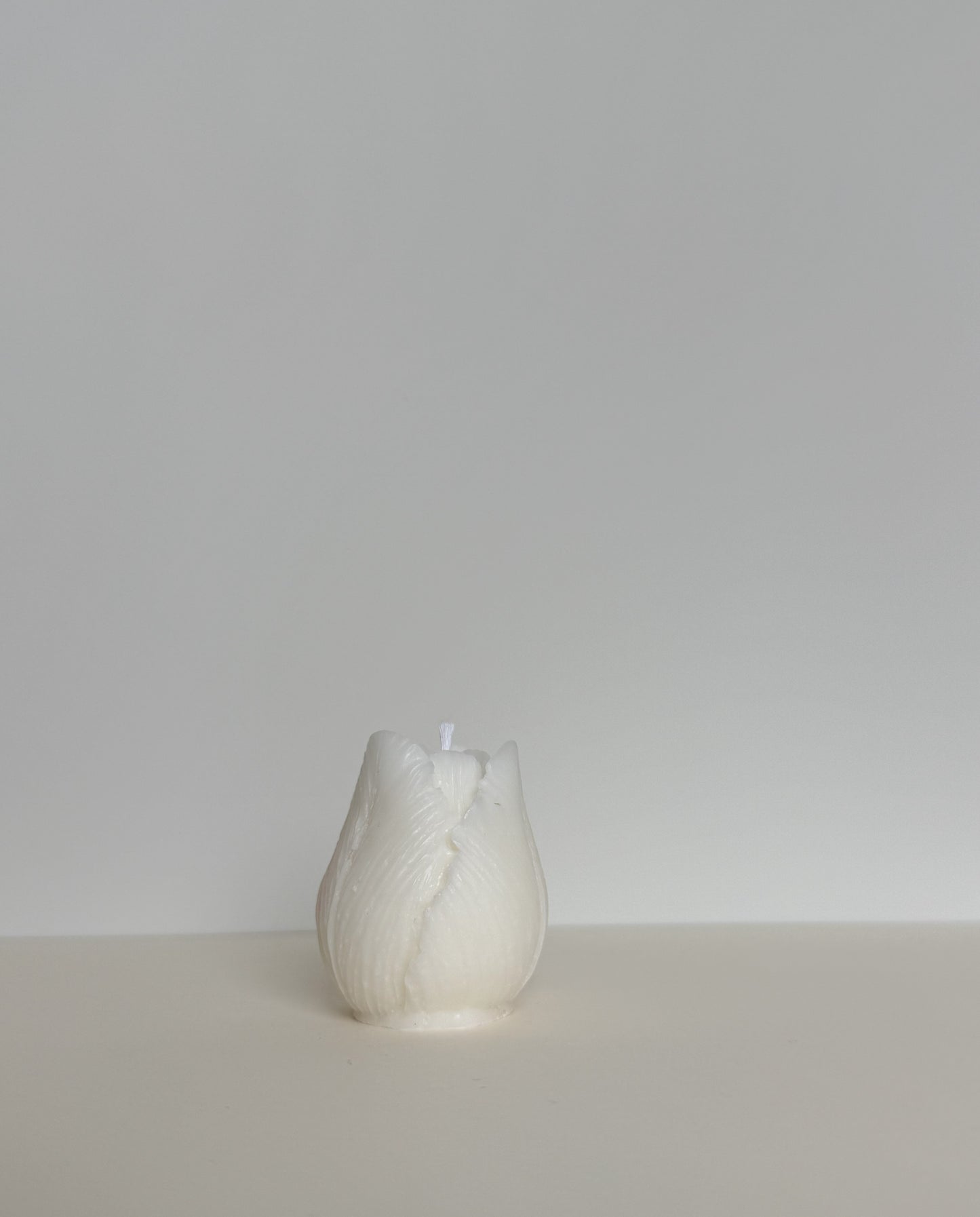 Tulp S