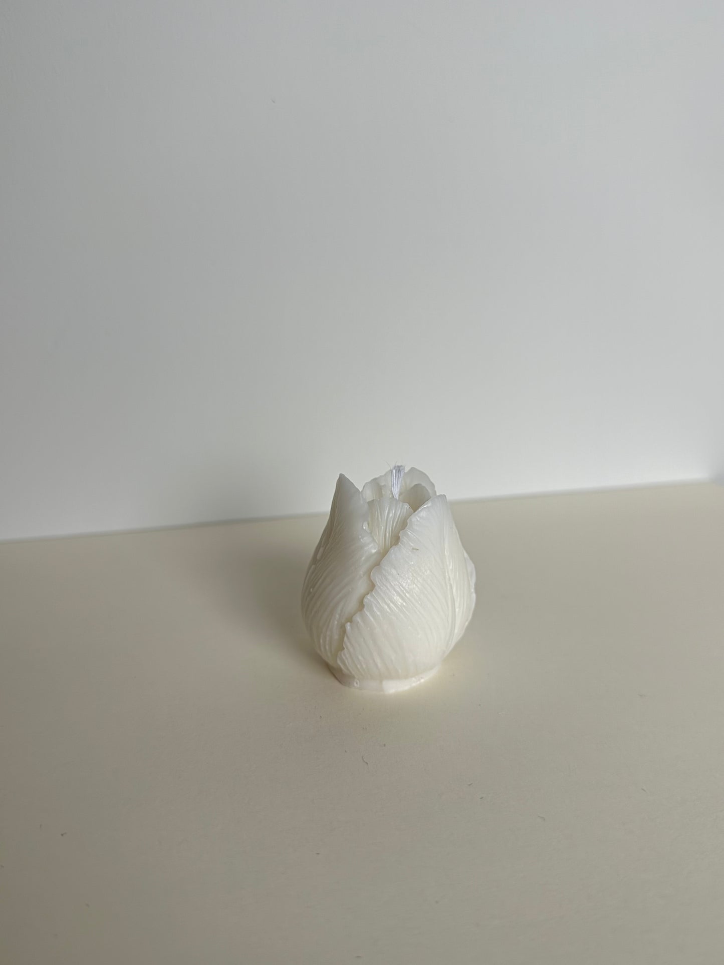 Tulp S