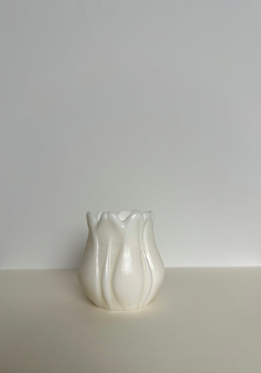 Tulp M