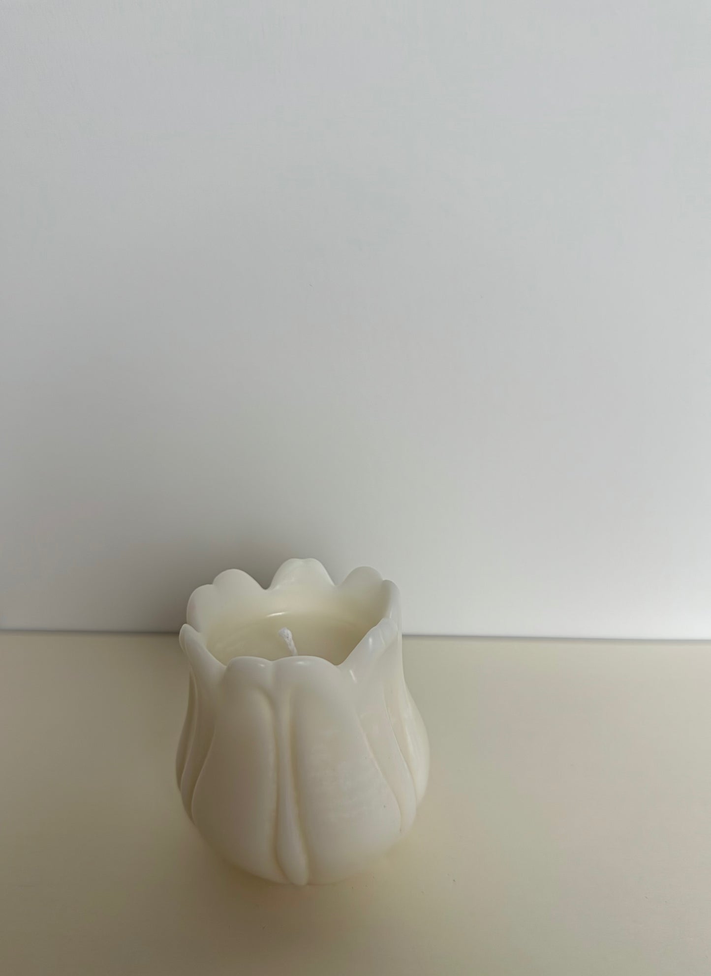 Tulp M
