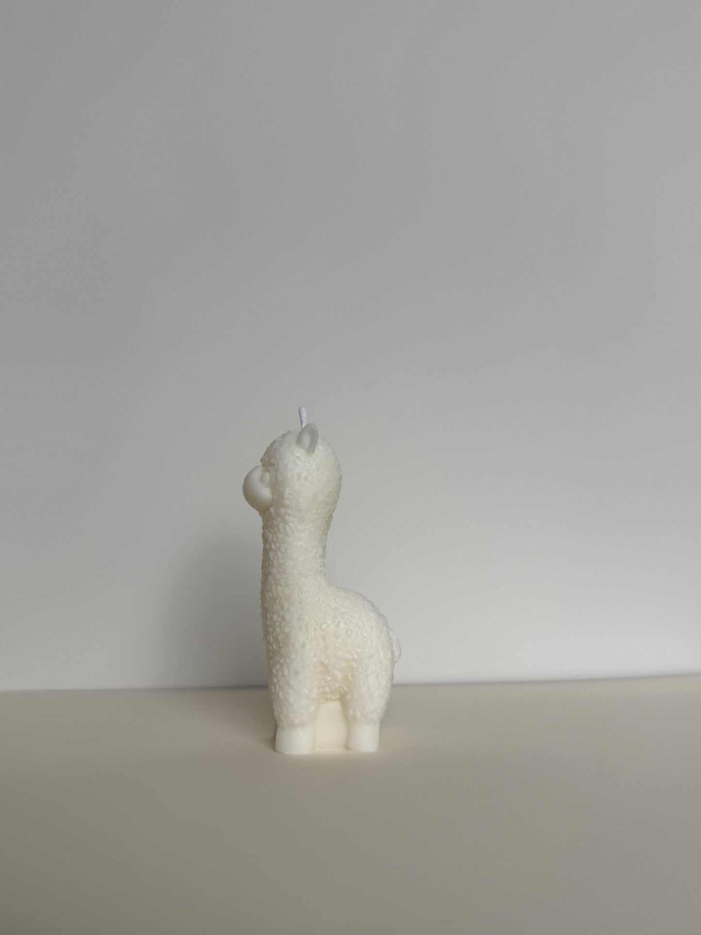 Alpaca