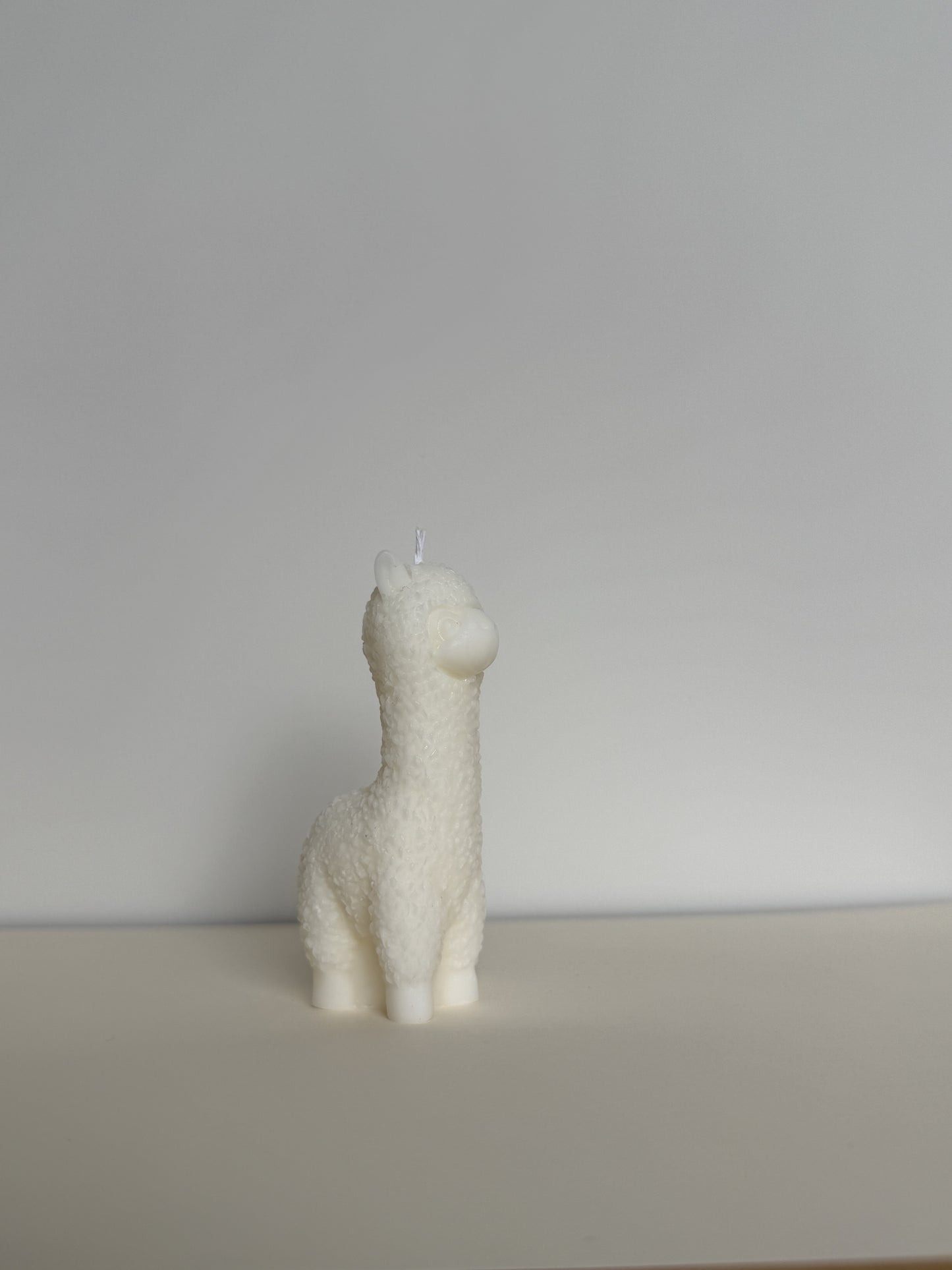 Alpaca