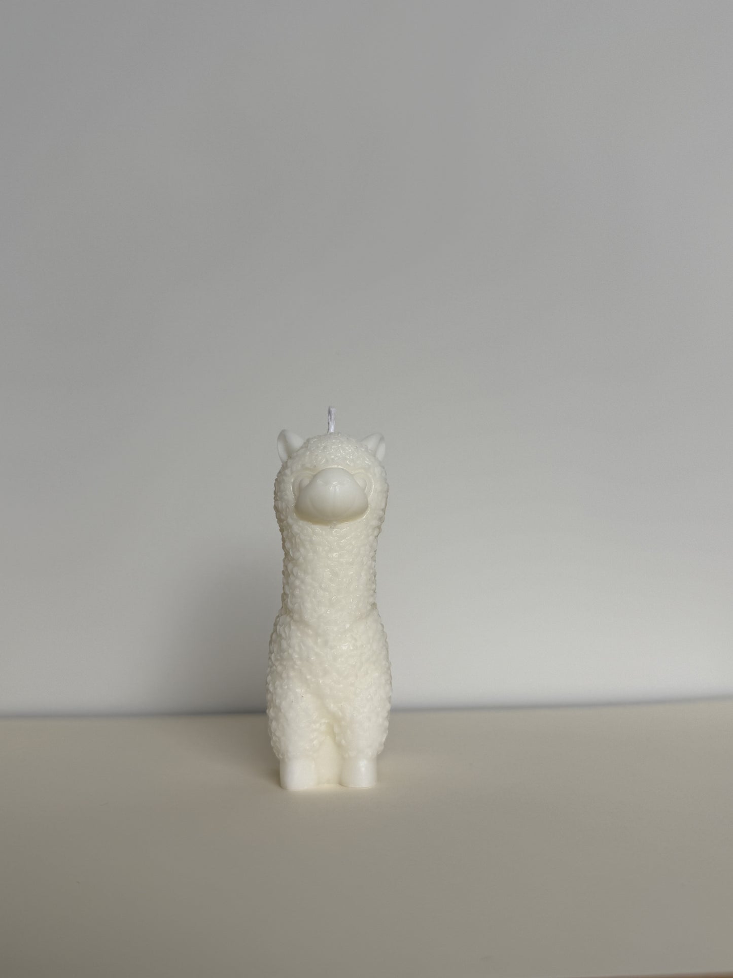 Alpaca