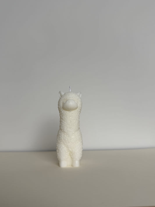 Alpaca